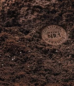 COMPO SANA Grünpflanzen- Und Palmenerde, 20 L 5 COMPO SANA Grünpflanzen- Und Palmenerde, 20 L -Garten & Außenbereich 144105 WE DE 002 COMPOSANAGruenpflanzenundPalmenerde20l