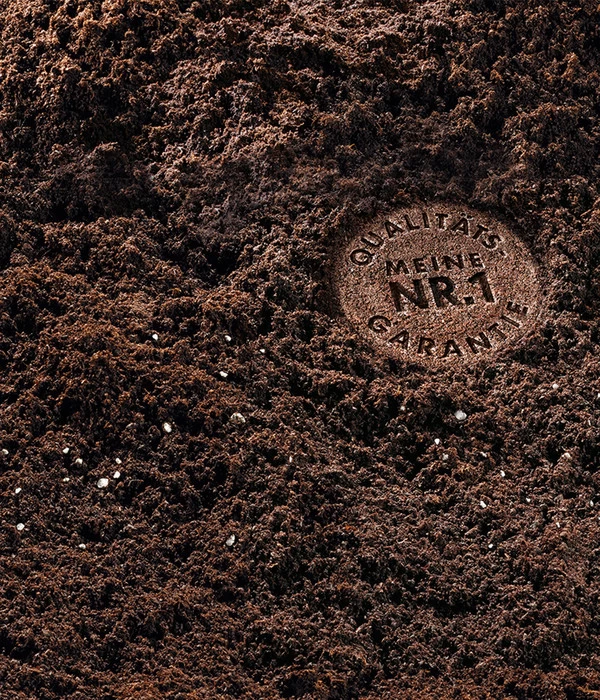 COMPO SANA Grünpflanzen- Und Palmenerde, 20 L 3 COMPO SANA Grünpflanzen- Und Palmenerde, 20 L – Bild 3