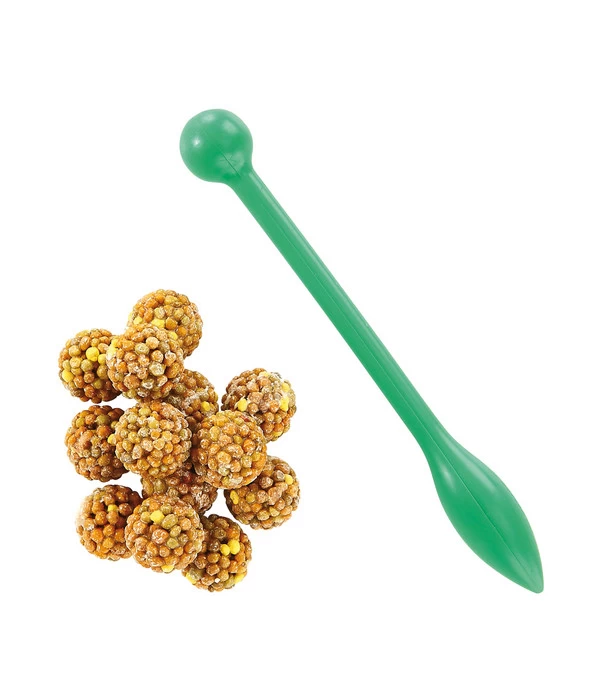 Dehner Düngekugeln Für Zimmerpflanzen, 25 Kugeln 3 Dehner Düngekugeln Für Zimmerpflanzen, 25 Kugeln – Bild 3