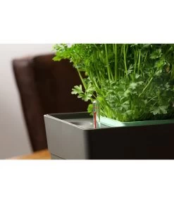 GREENBAR® Kräuterkasten, Ca. B48/H15,5/T16 Cm -Garten & Außenbereich 20150713 350 greenbar fuellanzeiger studio herzig