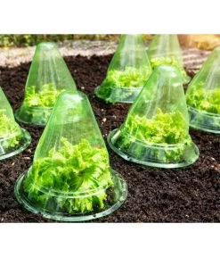 Windhager Pflanzenhut, Ø24 Cm, 10 Stk. 9 Windhager Pflanzenhut, Ø24 Cm, 10 Stk. -Garten & Außenbereich 2062289 WE MO 001 WindhagerPflanzenhut