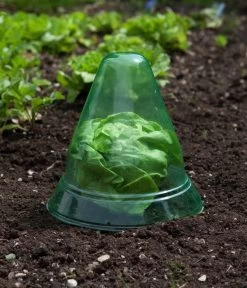 Windhager Pflanzenhut, Ø24 Cm, 10 Stk. 10 Windhager Pflanzenhut, Ø24 Cm, 10 Stk. -Garten & Außenbereich 2062289 WE MO 002 WindhagerPflanzenhut