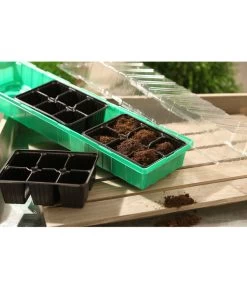 Dehner Zimmergewächshaus Frans, 54 X 15 X 12 Cm -Garten & Außenbereich 207456 BildM 001 RombergZimmergewaechshausFransFensterbGewH54X15x12