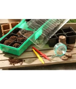 Dehner Zimmergewächshaus Frans, 54 X 15 X 12 Cm -Garten & Außenbereich 207456 BildM 002 RombergZimmergewaechshausFransFensterbGewH54X15x12