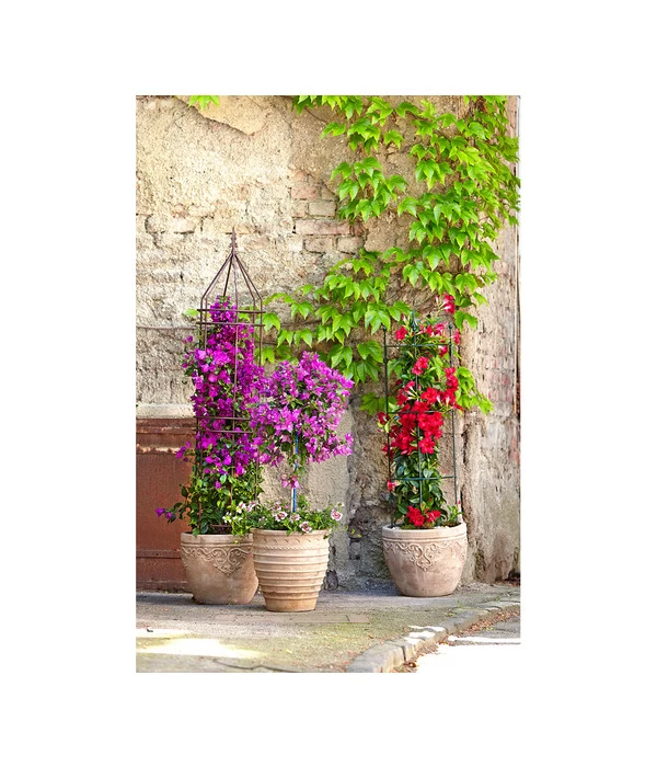 Dehner Halbobelisk 4 Dehner Halbobelisk – Bild 4