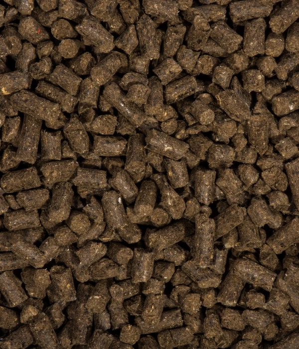 COMPO BIO Universal Langzeit-Dünger Mit Schafwolle, 2 Kg 3 COMPO BIO Universal Langzeit-Dünger Mit Schafwolle, 2 Kg – Bild 3