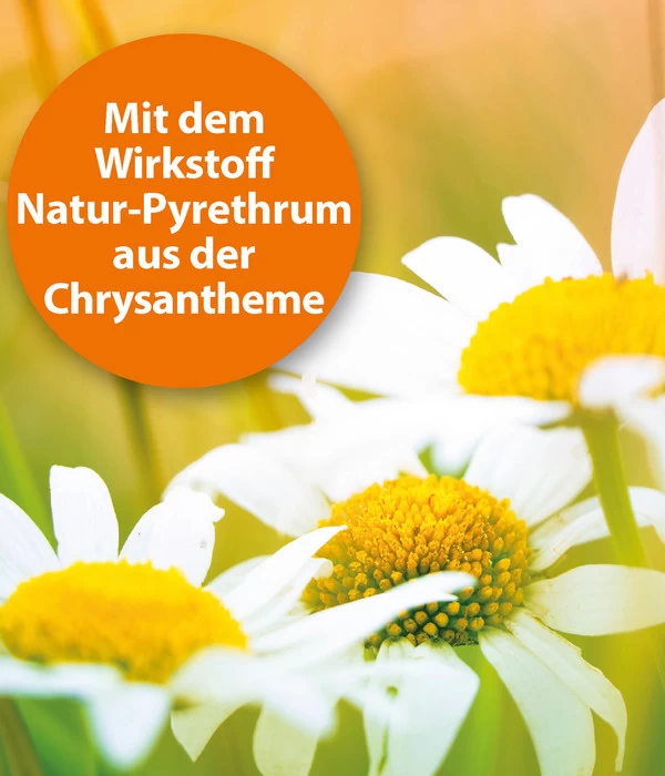 ARDAP® Zecken- Und Flohschutz Spot-On Für Mittelgroße Hunde, 3 X 2,5 Ml 2 ARDAP® Zecken- Und Flohschutz Spot-On Für Mittelgroße Hunde, 3 X 2,5 Ml – Bild 2