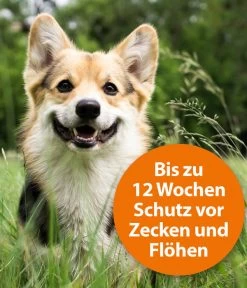 ARDAP® Zecken- Und Flohschutz Spot-On Für Mittelgroße Hunde, 3 X 2,5 Ml 8 ARDAP® Zecken- Und Flohschutz Spot-On Für Mittelgroße Hunde, 3 X 2,5 Ml -Garten & Außenbereich 2599157 WE DE 002 ArdapQuikoHZbhSpotOn10 25kg