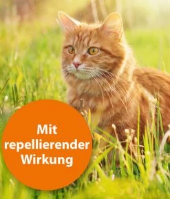 ARDAP® Zecken- Und Flohschutz Spot-On Für Katzen Bis 4 Kg, 3 X 0,4 Ml -Garten & Außenbereich 2599249 WE DE 002 ArdapQuikoKZbhSpotOn4kg