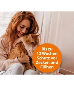 ARDAP® Zecken- Und Flohschutz Spot-On Für Katzen Bis 4 Kg, 3 X 0,4 Ml -Garten & Außenbereich 2599249 WE DE 003 ArdapQuikoKZbhSpotOn4kg