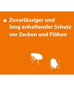 ARDAP® Zecken- Und Flohschutz Spot-On Für Katzen Bis 4 Kg, 3 X 0,4 Ml -Garten & Außenbereich 2599249 WE DE 004 ArdapQuikoKZbhSpotOn4kg