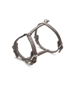 Das Lederband Hundegeschirr Style Amsterdam Lava