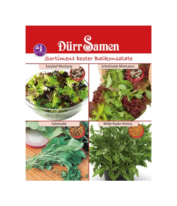 Dürr Samen Sortiment Bester Balkonsalate 1 Dürr Samen Sortiment Bester Balkonsalate