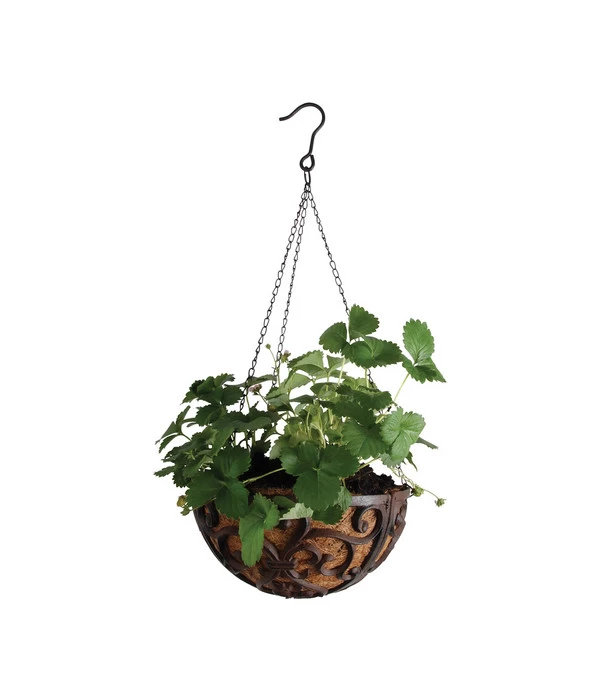 Dehner Gusseisen-Hängeampel Katalonien Mit Kokoseinlage, Rund, Rost, Ca. Ø30/H15 Cm 2 Dehner Gusseisen-Hängeampel Katalonien Mit Kokoseinlage, Rund, Rost, Ca. Ø30/H15 Cm – Bild 2