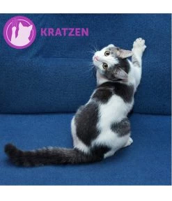 FELIWAY® Alltagshelfer Classic Start-Set -Garten & Außenbereich 3019957 WE M 002 neuCevaFeliwayClassicStarterSet