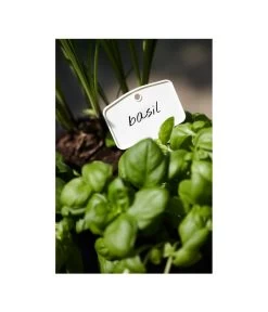 Elho Pflanz-Stift, 5 Stück -Garten & Außenbereich 3266806 MO FS 001 PflanzstiftMweissElhoEtikett