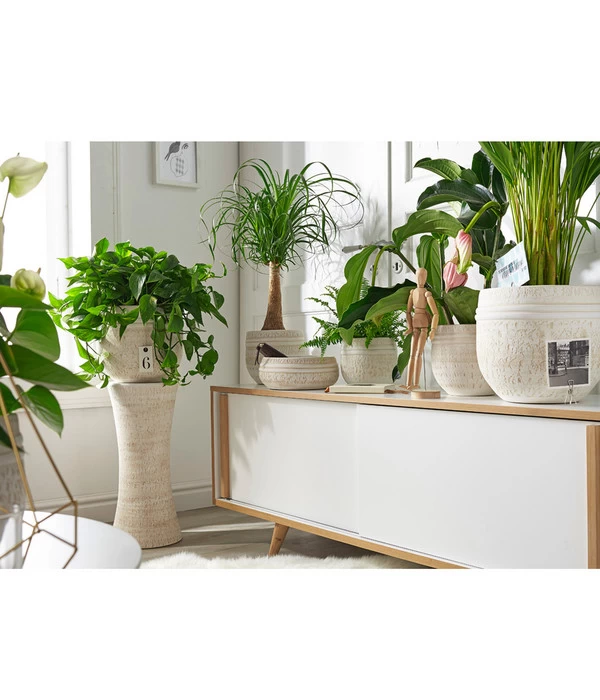 Dehner Keramik-Pflanzsäule Rustika, Creme, Ca. Ø24/H55 Cm 2 Dehner Keramik-Pflanzsäule Rustika, Creme, Ca. Ø24/H55 Cm – Bild 2