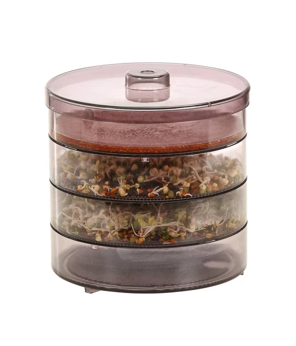 Dehner Sprossenhaus, 4 Schalen 4 Dehner Sprossenhaus, 4 Schalen – Bild 4