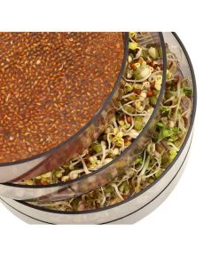 Dehner Sprossenhaus, 4 Schalen 6 Dehner Sprossenhaus, 4 Schalen -Garten & Außenbereich 3677101 WE MO 002 DehnerSprossenhausKeimsprossen