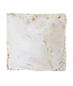 Pilzmännchen Bio Pilzzuchtset Austernpilz -Garten & Außenbereich 3940285 BildD 002 PilzmaennchenBioHomePilzzuchtsetAusternpilzPilzbrutAusternpilzSet