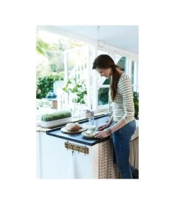 Elho Anzuchthaube L -Garten & Außenbereich 4026704 WE MO 001 AnzuchthausLTransparentElho