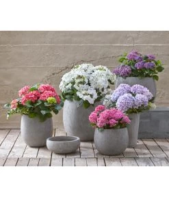 Dehner Leichtbeton-Schale Balloon Stone, Grau -Garten & Außenbereich 4058046 4058087 4057972 WE MO 004 DehnerLeichtbetonTopfPflanztopfPflanzvase