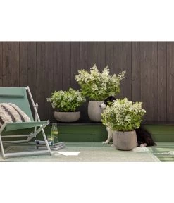 Dehner Leichtbeton-Schale Balloon Stone, Grau -Garten & Außenbereich 4058046 4058087 4057972 WE MO 006 DehnerLeichtbetonTopfBalloon