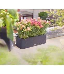 LECHUZA® BALCONISSIMA Color, All-in-One-Set, Ca. B40/H14/T14 Cm -Garten & Außenbereich 4065538 PR MO 001 Balconissima40Anthrazit