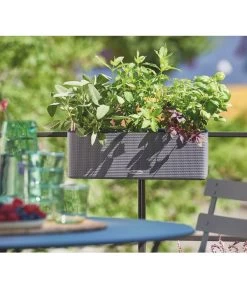 LECHUZA® BALCONISSIMA Color, All-in-One-Set, Ca. B40/H14/T14 Cm -Garten & Außenbereich 4065538 PR MO 002 Balconissima40Anthrazit