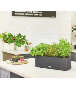 LECHUZA® BALCONISSIMA Color, All-in-One-Set, Ca. B40/H14/T14 Cm -Garten & Außenbereich 4065538 PR MO 003 Balconissima40Anthrazit