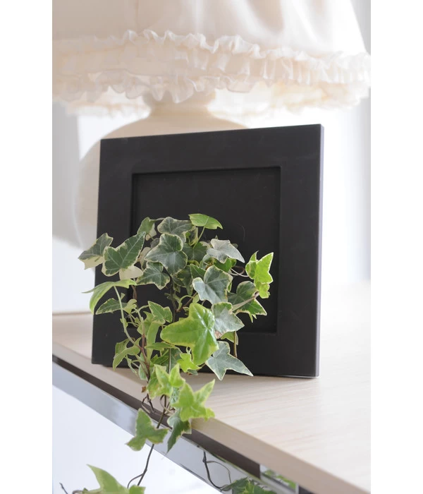 Farmet Kunststoff-Rahmen Living Flower, Ca. B25/H25/T8 Cm 2 Farmet Kunststoff-Rahmen Living Flower, Ca. B25/H25/T8 Cm – Bild 2