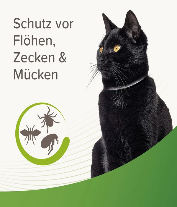 Beaphar Zecken- Und Flohschutzband Für Katzen, 35 Cm 3 Beaphar Zecken- Und Flohschutzband Für Katzen, 35 Cm – Bild 3