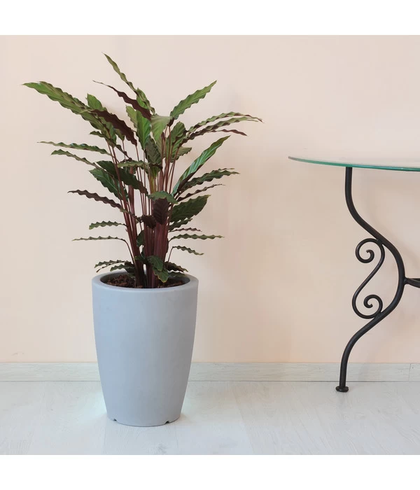 Farmet Kunststoff-Topf-Set Hydra, Konisch, Grau, 2-teilig 2 Farmet Kunststoff-Topf-Set Hydra, Konisch, Grau, 2-teilig – Bild 2