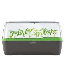 Romberg BoQube Gewächshaus -Garten & Außenbereich 4299970 WE FS 005 RombergGewaechshausZimmergewaechshausAnzucht