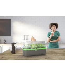 Romberg BoQube Gewächshaus -Garten & Außenbereich 4299970 WE MO 001 RombergGewaechshausZimmergewaechshausAnzucht