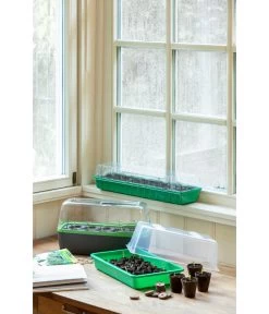 Romberg Zimmergewächshaus 5 Romberg Zimmergewächshaus -Garten & Außenbereich 4299970 WE MO 004 BoQubeZimmergewaechshaus