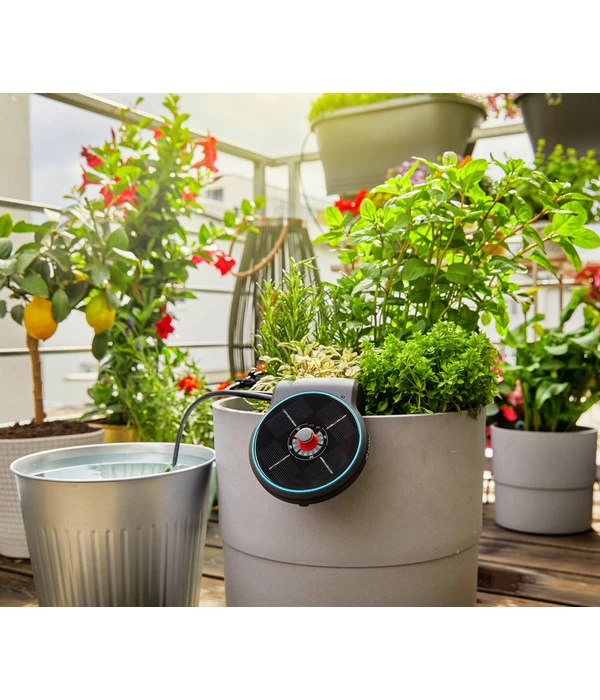 Gardena Solar-Bewässerung Aquabloom 6 Gardena Solar-Bewässerung Aquabloom – Bild 6