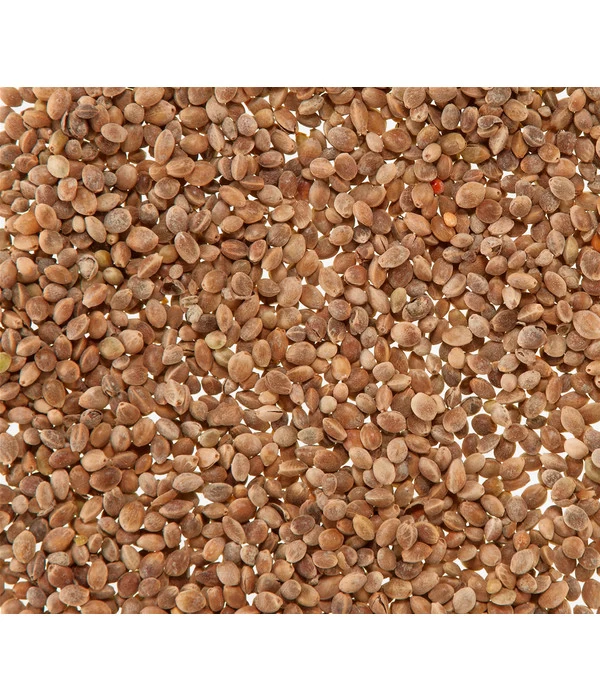 Dehner Mauserhilfe Für Großsittiche Und Papageien, 20 G 2 Dehner Mauserhilfe Für Großsittiche Und Papageien, 20 G – Bild 2