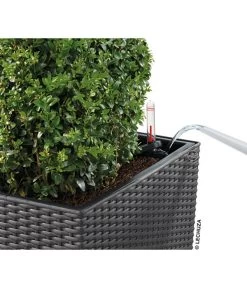 LECHUZA® Kunststoff-Topf Cube Cottage, Quadratisch -Garten & Außenbereich 5181169 WE DE 001 LechuzaKunststoffTopfCubeCottage