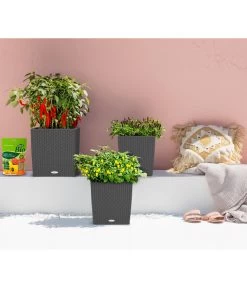 LECHUZA® Kunststoff-Topf Cube Cottage, Quadratisch -Garten & Außenbereich 5181169 WE MO 001 LechuzaKunststoffTopfCubeCottage