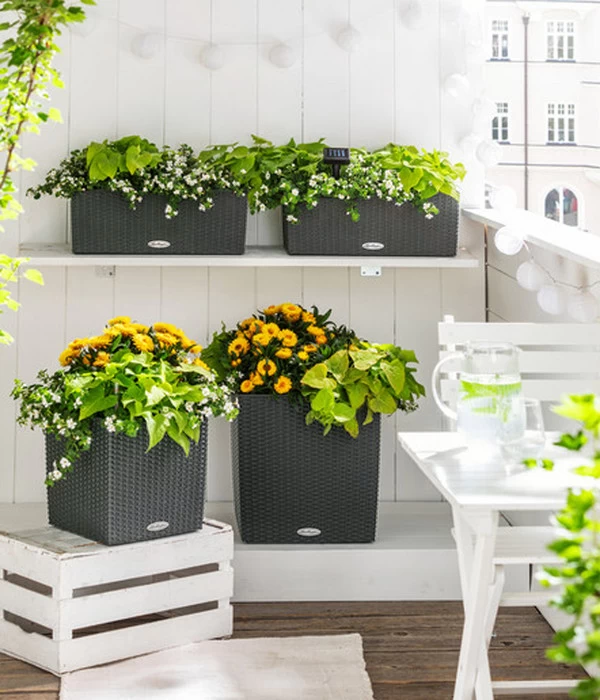 LECHUZA® Kunststoff-Topf Cube Cottage, Quadratisch – Bild 5