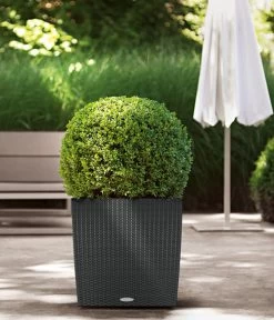 LECHUZA® Kunststoff-Topf Cube Cottage, Quadratisch -Garten & Außenbereich 5181169 WE MO 009 LechuzaKunststoffTopfCubeCottage