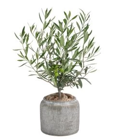 Olive, Busch, In Keramik, Ca. Ø16/H40 Cm