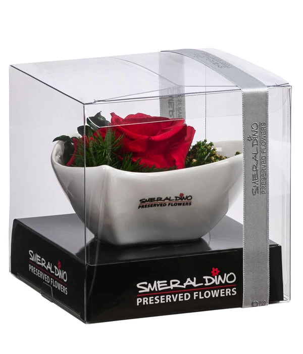 Dehner Herzschale Mit Longlife-Rose Lena, Ca. B12/H8 Cm 2 Dehner Herzschale Mit Longlife-Rose Lena, Ca. B12/H8 Cm – Bild 2