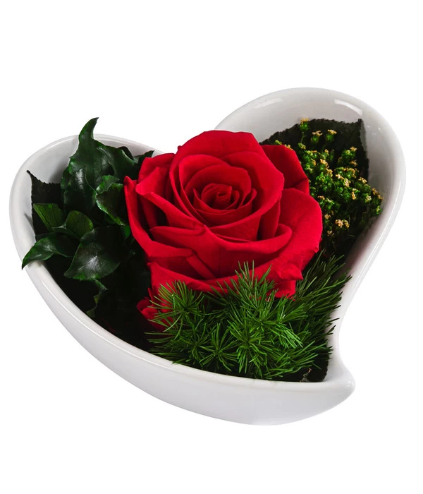 Dehner Herzschale Mit Longlife-Rose Lena, Ca. B12/H8 Cm 1 Dehner Herzschale Mit Longlife-Rose Lena, Ca. B12/H8 Cm