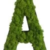 StyleGREEN Buchstaben Aus Islandmoos, Ca. H25 Cm