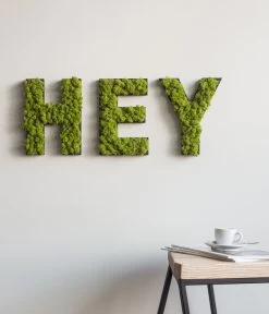 StyleGREEN Buchstaben Aus Islandmoos, Ca. H25 Cm -Garten & Außenbereich 6429435 WE MO 003 BuchstabenIslandmoosHey
