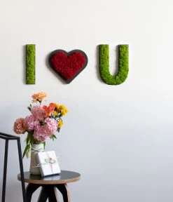 StyleGREEN Buchstaben Aus Islandmoos, Ca. H25 Cm -Garten & Außenbereich 6429518 6429633 WE MO 001 BuchstabenIslandmoosILoveU