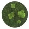 StyleGREEN Bild Aus Wald- Und Kugelmoos, Kreisförmig, Ca. Ø34 Cm