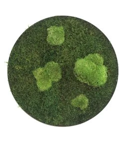 StyleGREEN Bild Aus Wald- Und Kugelmoos, Kreisförmig, Ca. Ø34 Cm